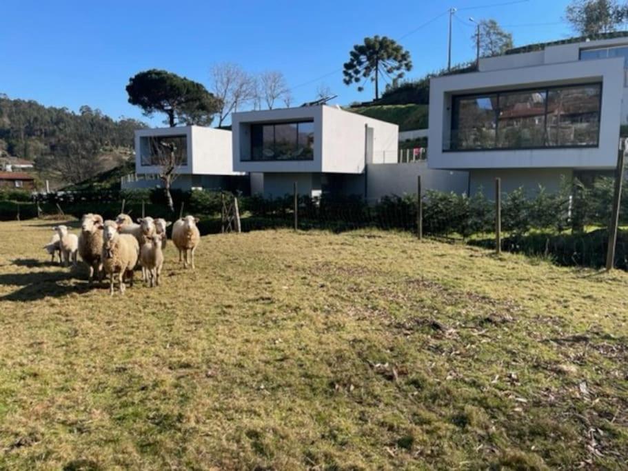 Viana Do Castelo - Amonde Village -Casa A * Relax Exterior foto